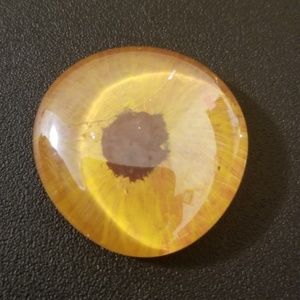 Meet your Posher, Virginia